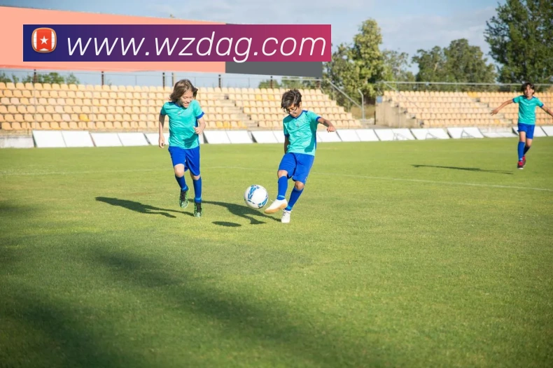 数据防护可视化